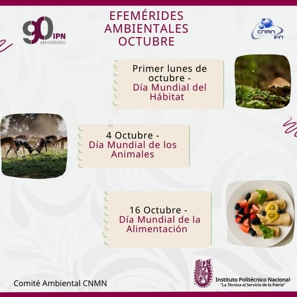Reciclatrón marzo 2026